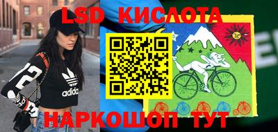 шишки Лесосибирск