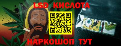 шишки Лесосибирск