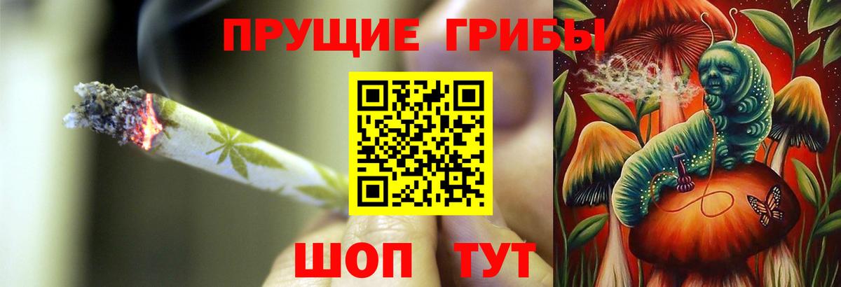 Галлюциногенные грибы Cubensis Чусовой